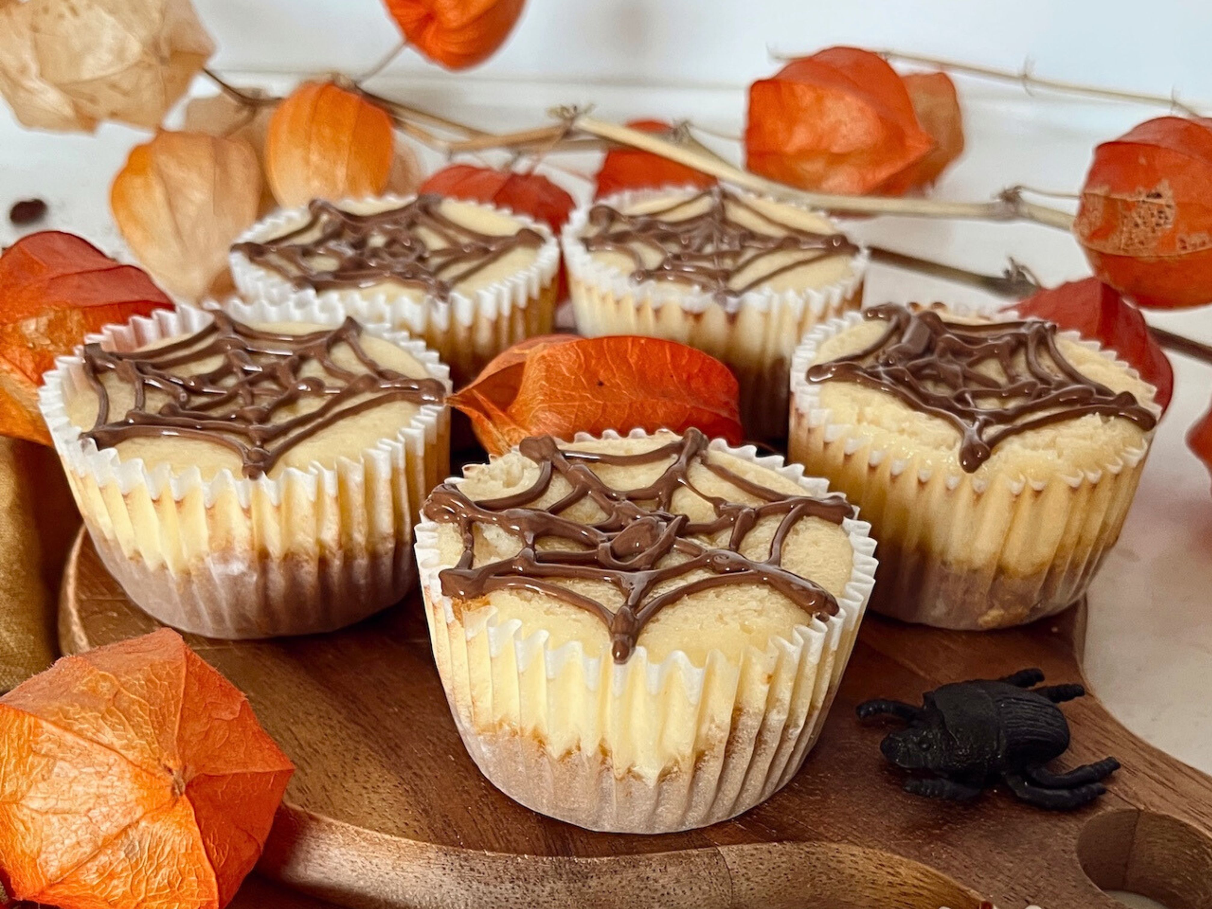 SIERA KŪKAS AR ZIRNEKĻU TĪKLU